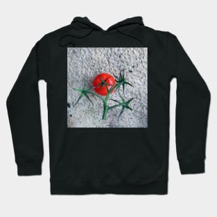 Ripe Red Tomato and Stems Hoodie